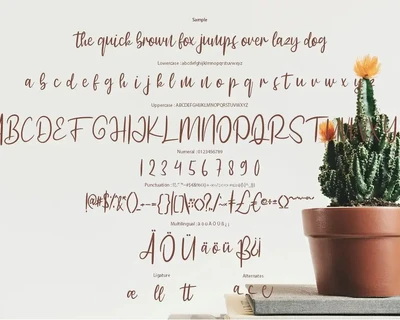 Gatshlie Modern Sript font