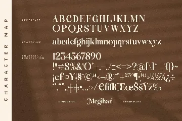 Megihari A Modern Serif Font