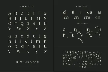 ginora sans serif font