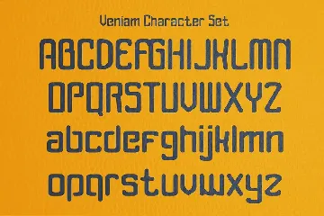 Veniam - Rounded Modern Sans Serif font