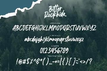 Bitter Rockhide font