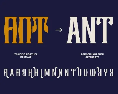 Tomseig Northek - Vintage Font