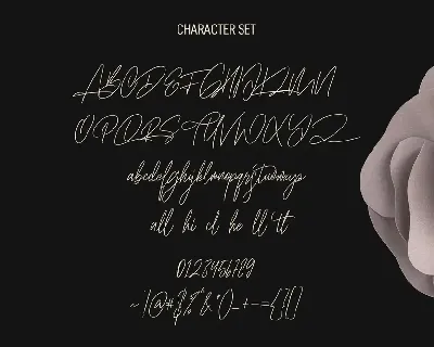 Willshore Signature Script Font