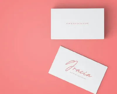 Palette | Monoline Signature Font