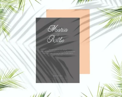 Adelia - Elegant Script Typeface font