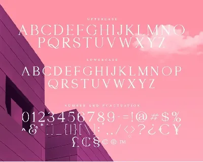 Morgan - Clean Serif Font