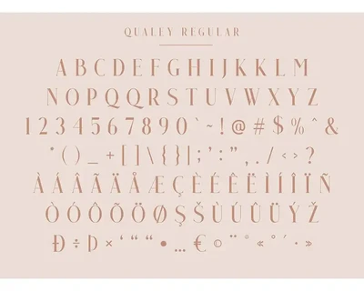 Qualey - Elegant Serif Font