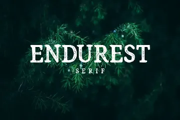 Endurest Font