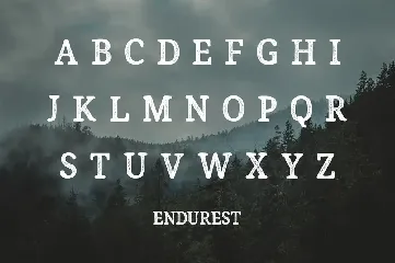 Endurest Font