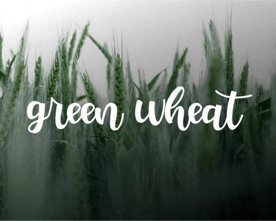 Miunatel Font
