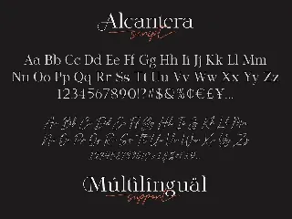 Alcantera Font Duo