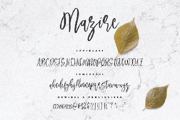 Mazire - A Beauty Script Font