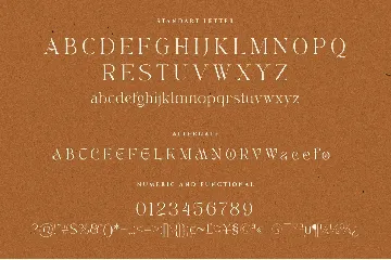 Valerie Angel Beautiful & Elegant Serif Font