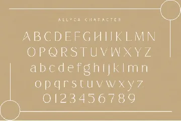 Allyca font