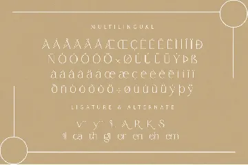 Allyca font