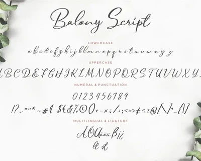 Balony Script Business Font