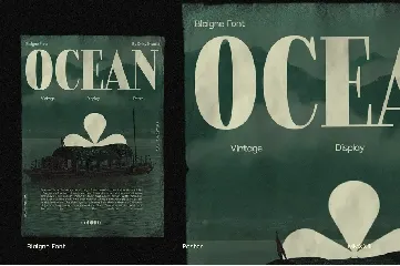 Blaigne - Serif Vintage Font