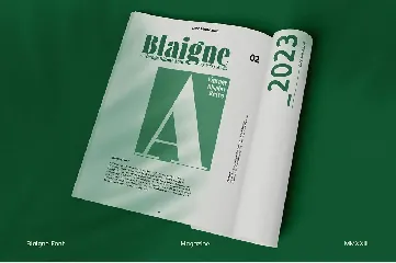 Blaigne - Serif Vintage Font