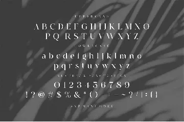 Grafing font