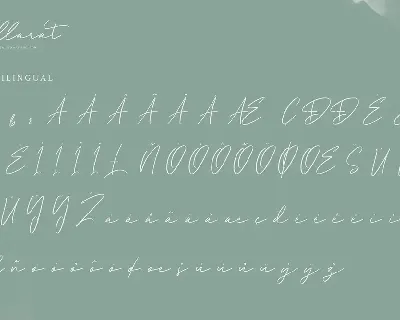 Ballarat | Brush Signature Font