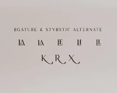 Modern Serif Font