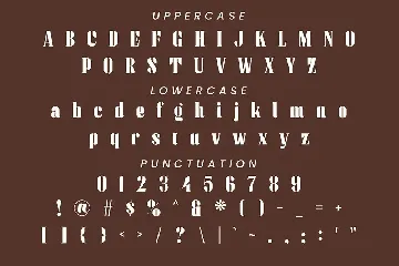 Diaspora - Serif Font