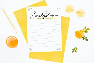 Sunflower | Freehand Signature Font