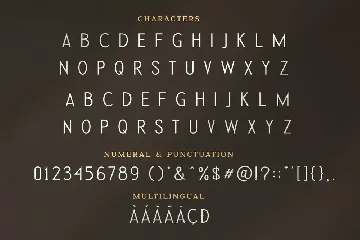 Golden Silver Agency Font