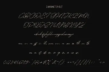 Hoffmans Signature Font