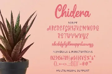 Chidera Script & Sans font