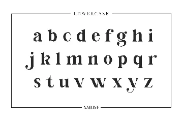 Natline Modern Serif Font