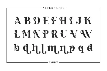 Natline Modern Serif Font