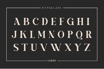 Natline Modern Serif Font