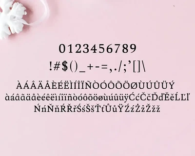 Aderes Serif Font Family Pack