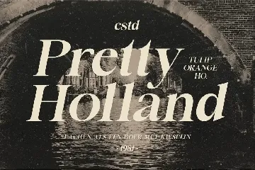 Amsterdam Serif - Luxury Business Font