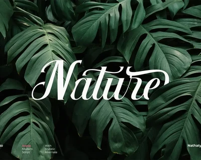 Anyva font