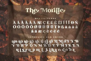 The Morille font