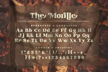 The Morille font