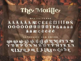 The Morille font