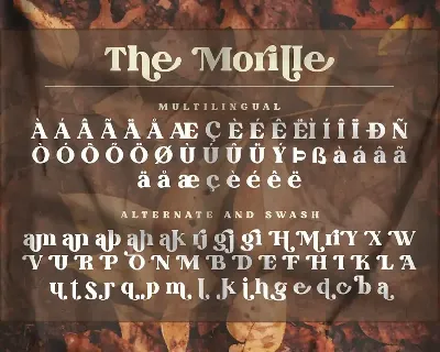 The Morille font