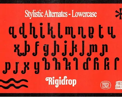 Rigidrop - Retro Ornamental Fonts