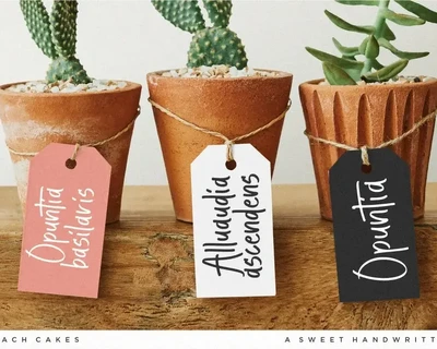 Peach Cakes Font AS