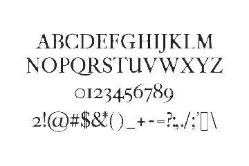 Moisses Serif Font Family Pack