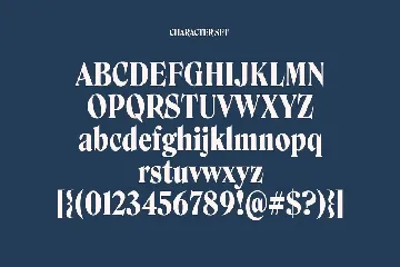 Mariget Serif Display Font