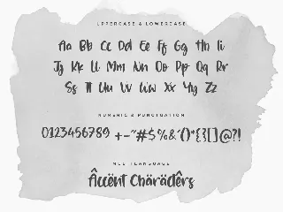 Silver Midnight Script Font