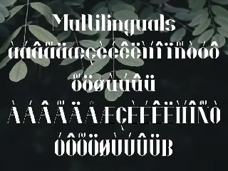 Bellavina - Modern Serif Font