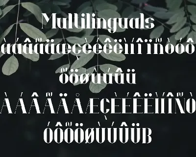 Bellavina - Modern Serif Font