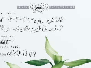 Plamiya | Handcrafted Script Font