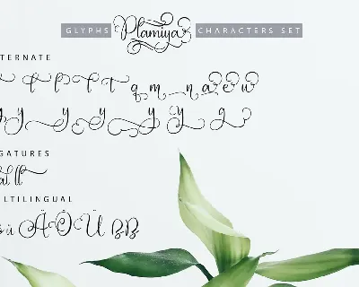 Plamiya | Handcrafted Script Font