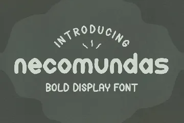 Necomundas bold display font